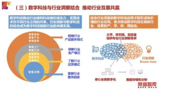 数字科技蓬勃发展，与传统产业共建共赢新篇章